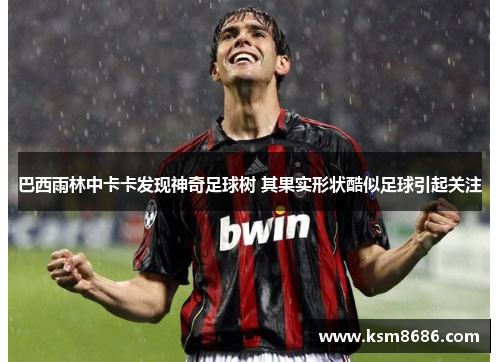 巴西雨林中卡卡发现神奇足球树 其果实形状酷似足球引起关注