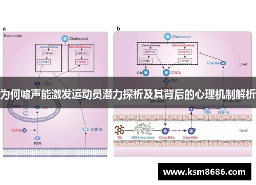 为何嘘声能激发运动员潜力探析及其背后的心理机制解析 为何嘘声能激发运动员潜力探析及其背后的心理机制解析