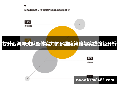 提升西海岸球队整体实力的多维度策略与实践路径分析 提升西海岸球队整体实力的多维度策略与实践路径分析