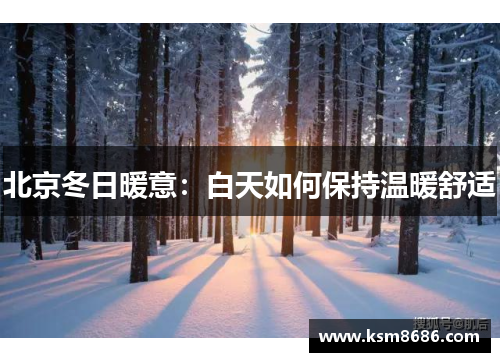 北京冬日暖意:白天如何保持温暖舒适 北京冬日暖意:白天如何保持温暖舒适
