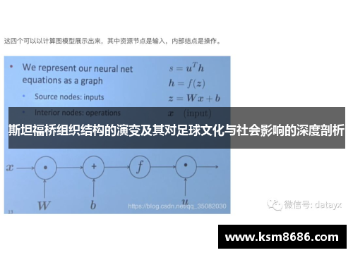 斯坦福桥组织结构的演变及其对足球文化与社会影响的深度剖析 斯坦福桥组织结构的演变及其对足球文化与社会影响的深度剖析