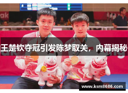 王楚钦夺冠引发陈梦取关,内幕揭秘 王楚钦夺冠引发陈梦取关,内幕揭秘